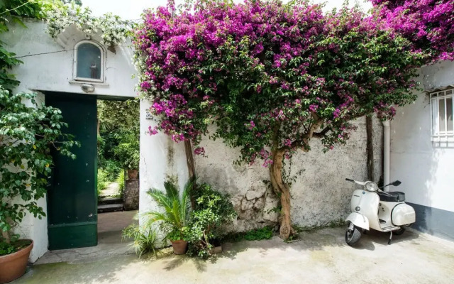 Il giardino di aranci e limoni