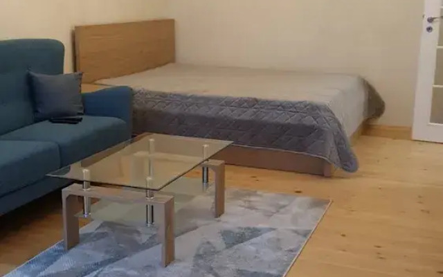 Sunny and Charming Domain for Your Stay in Sofia