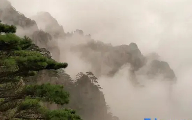 Huangshan Yaopan Shan Shu Homestay