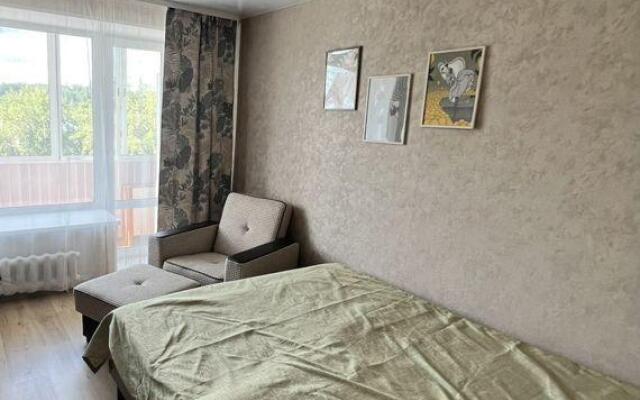 Апартаменты на улице Мамонтова 13