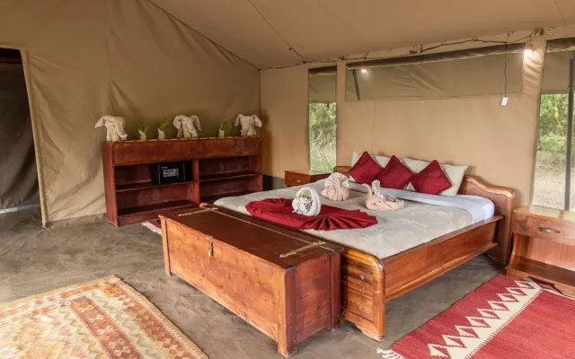 Hammerkop Migration Camp