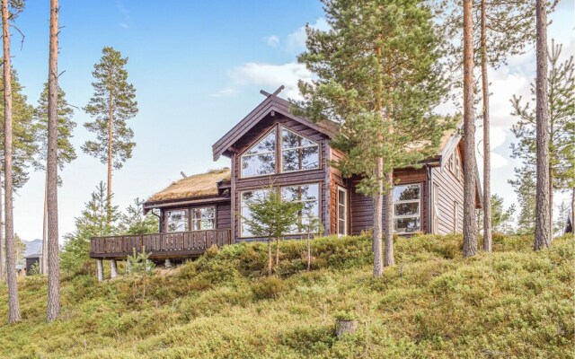 Amazing Home in Vrådal With 4 Bedrooms, Sauna and Wifi