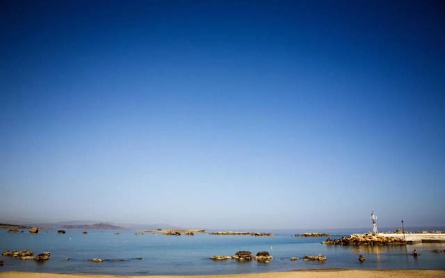 Stam's Paradise