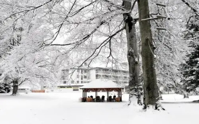 Seminar-Park-Hotel Hirschwang