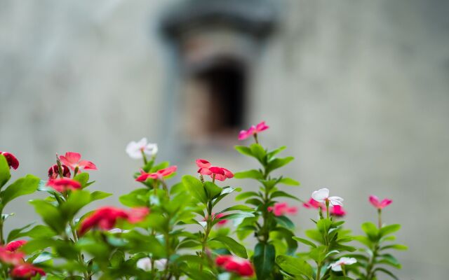 Hanoi Balcony Homestay