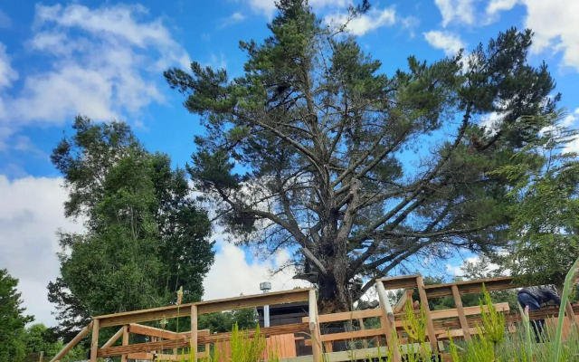 Terra Newen Pucon Family Suites