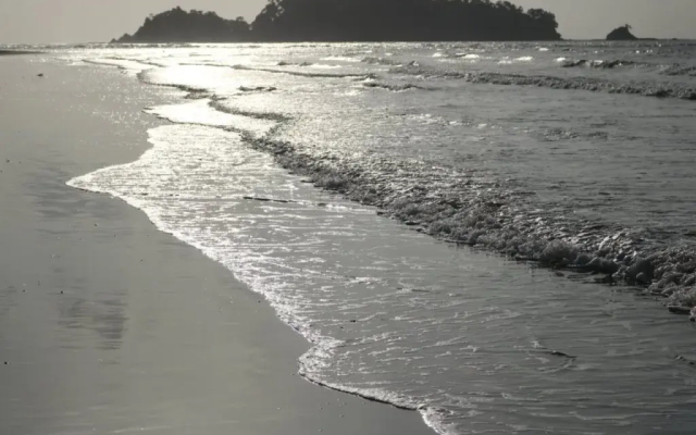 Pristine Beach Resorts