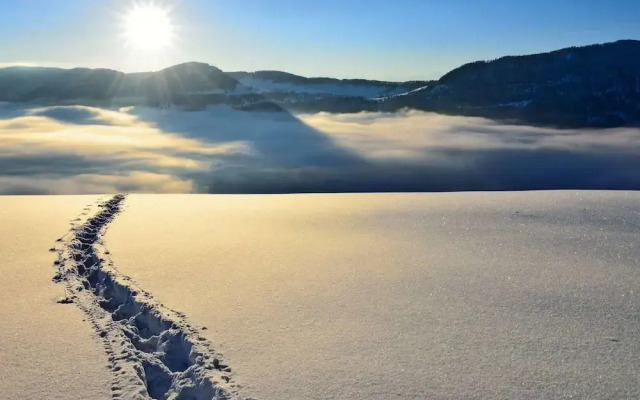 Cozy Chalet in Chrixacher near Forest