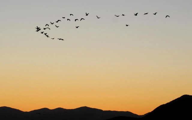 Pousada Canto do Rosa