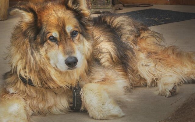 Elktrace Bed & Breakfast