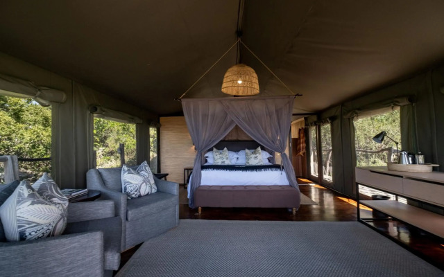HillsNek Safari Camp - Amakhala Game Reserve