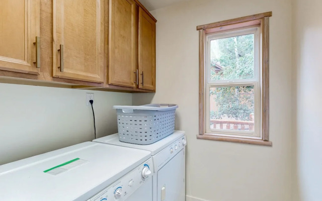 Big Bear White Skies #674