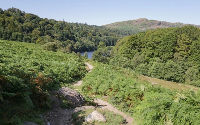 Rolo's Retreat