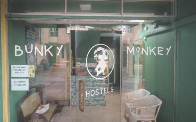 Bunky Monkey - Hostel