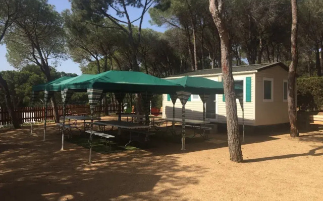 Camping Treumal