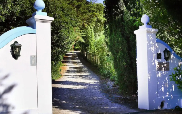 Pine Tree House in Azeit o