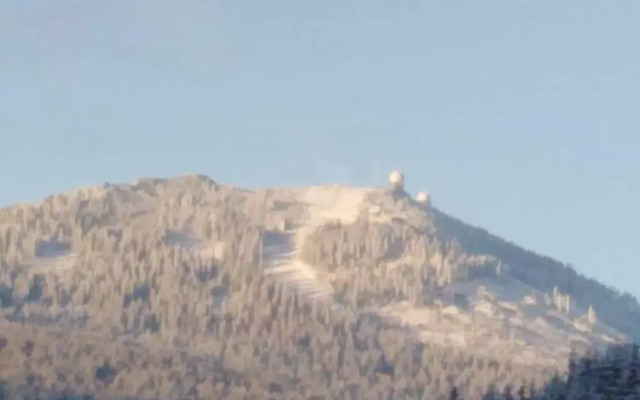 Magic House Under Arber