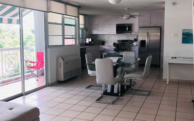 Suburb Pethouse Apartment