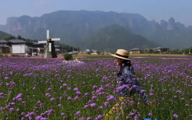 Villa-BlueTree Boutique Guesthouse