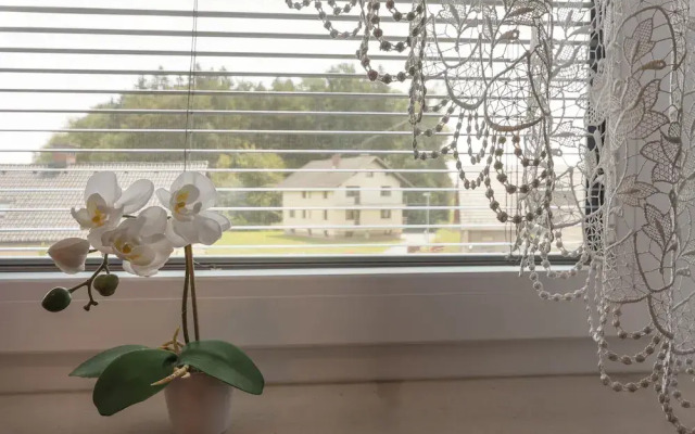 Rooms & Apartments Jana