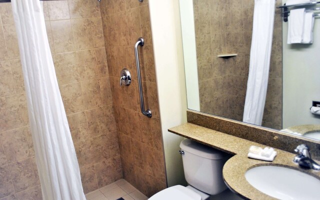 Microtel Inn & Suites by Wyndham Toluca