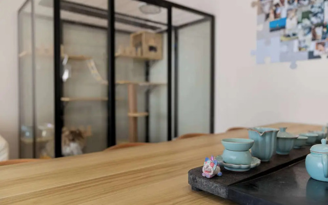 Wuyi Whispering Maple