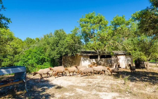 Saresta Den Rumbet
