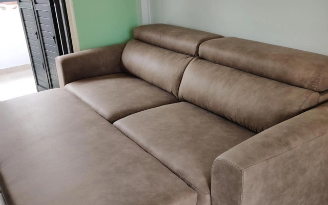 Palm garden paradise