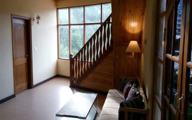 Bravia Hotel Manali Inn