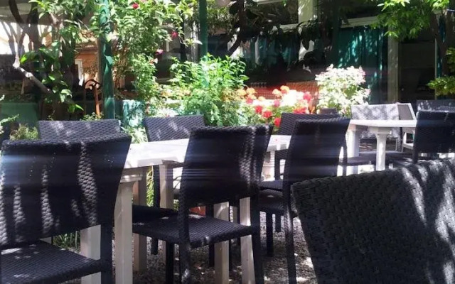 Albergo Mimosa