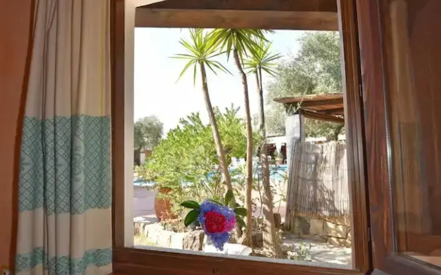 L'Ulivo