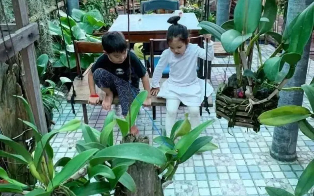 Cast Away  Homestay