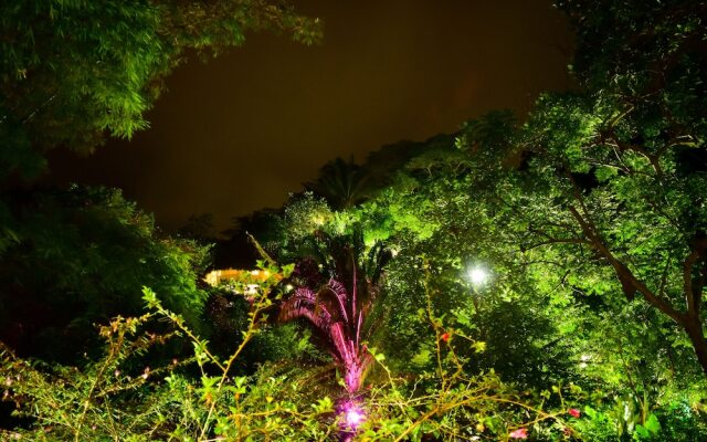 Ecohabs Bosques del Tayrona
