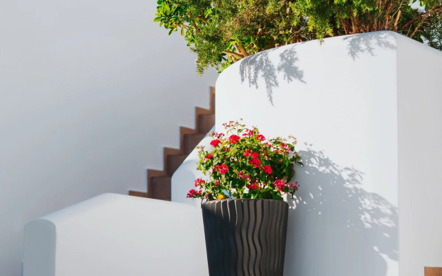 Aelia Apartments & Suites