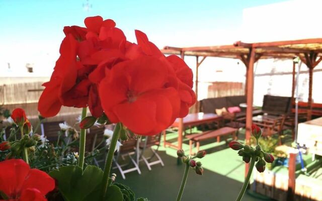 Summer Hostel Cádiz
