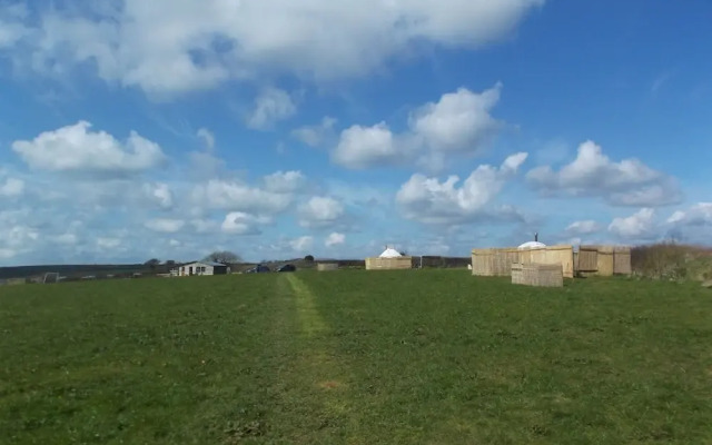 Buzzard Yurt