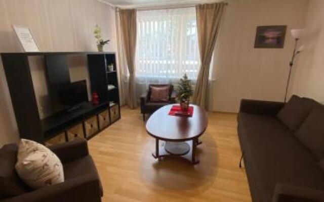 Cozy Center Apartment in Druskininkai