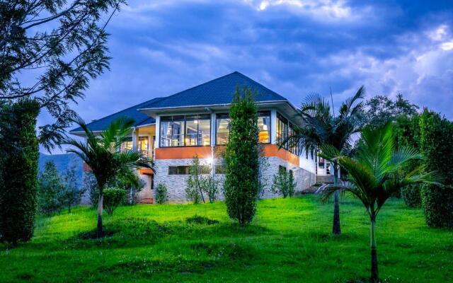 The Crested Crane Bwindi