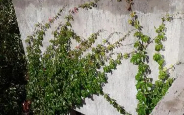 P3 Estratégico departamento para conocer Mendoza