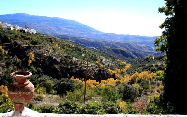 Cortijo Buena Vista