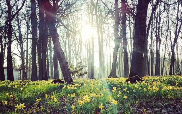 Château de l'Hermitage