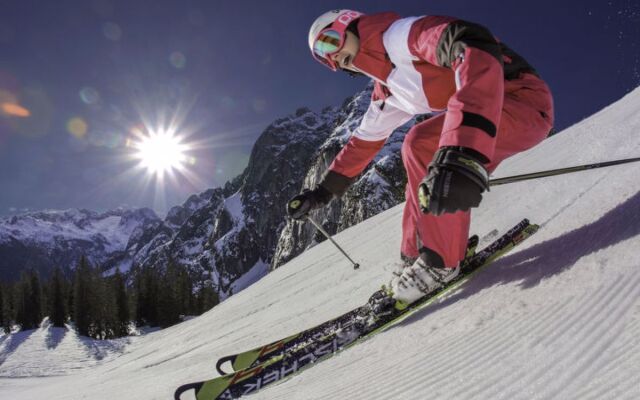 Annis Nest Ramsau am Dachstein
