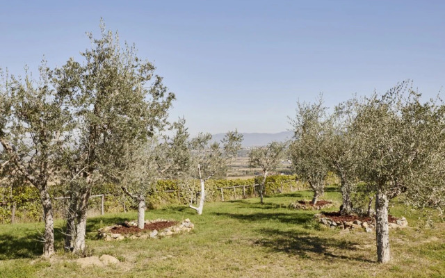 La Smarrita Dei Carradori Lucignano