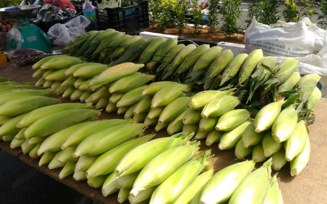 Dreamscape Apartment @ Golden Hills