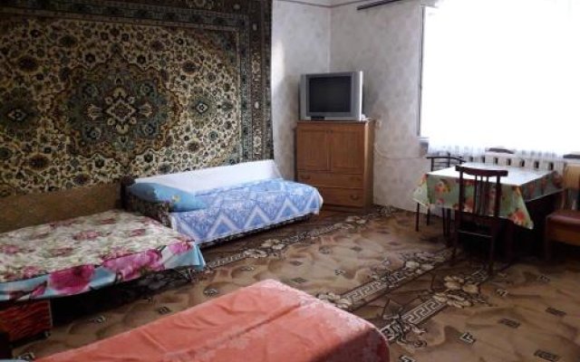 Guest House on Tsentral naya 31