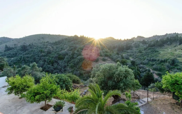 Ortaki Traditional House