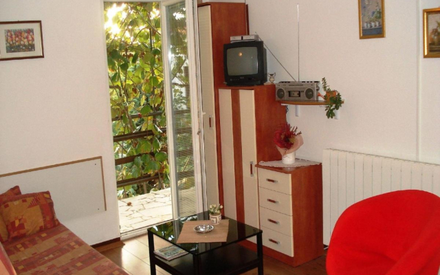 Apartment Perci- cosy and comfortable A1 Novi  Krnica, Istria