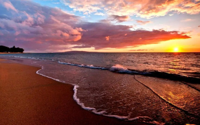 Maui Tranquility II