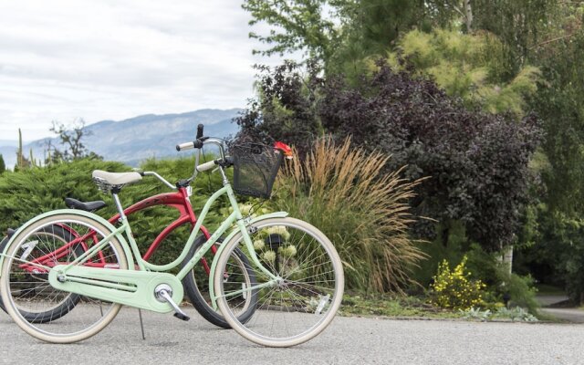 E'Laysa Guesthouse and Vineyard Retreat