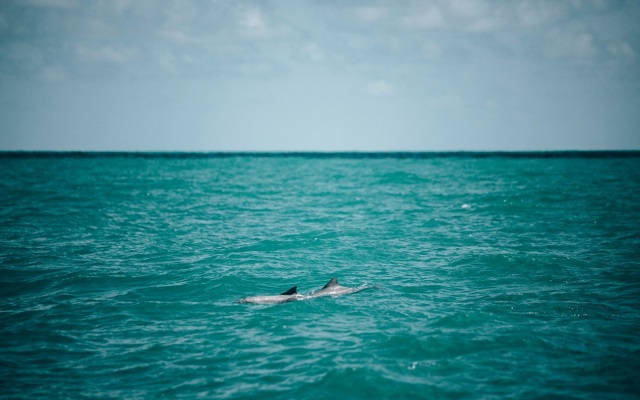 Madeiro Beach Hotel And Resort
